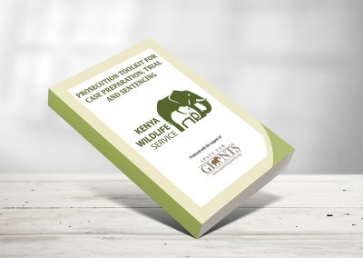 Best Graphic Design Agency in Kenya