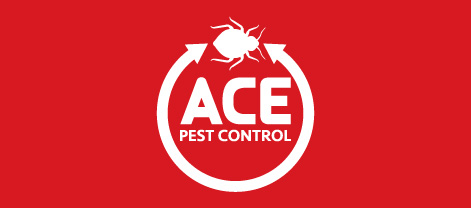 Ace Pest Control